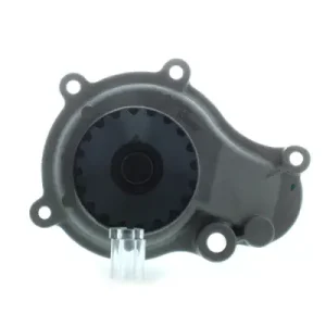 Begrenztes Angebot AISIN WPA-009 - Wasserpumpe, Motorkühlung
